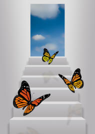 music voice freedom light chakra sing fly